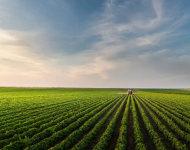 Screenshot 2024-09-03 at 20-56-21 AdobeStock_303214121_-Dusan-Kostic-800x498.jpg (WEBP Image 800 × 498 pixels)