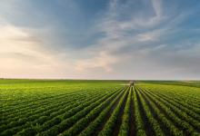 Screenshot 2024-09-03 at 20-56-21 AdobeStock_303214121_-Dusan-Kostic-800x498.jpg (WEBP Image 800 × 498 pixels)